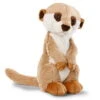Nici 48080 Erdmännchen Meercat Braun 20cm Sitzend Plüsch Kuscheltier -Spielwarenladen 46344 01 HA Frei 1724x2048