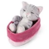 Nici 48086 Sleeping Kitties Schlafende Katze Im Körbchen 12cm Plüsch Grau -Spielwarenladen 47141 01 HA Frei 1867x2048