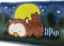 Nici 47879 Kissen Eule Oscar Schlafend Glow In The Dark 43x25cm Plüsch Owlsons -Spielwarenladen 47879 04 ZA Frei 2048x1451