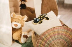 Nici 48780 Salamander Don Fuego Ca 25cm Plüsch Kuscheltier GREEN Classic Bear -Spielwarenladen 48775 14 48782 Milieu 2048x1342