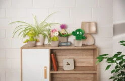 Nici 48942 Sedum Pflanze Amalia 18cm Plüschfigur Kuscheltier GREEN Funny Flowers 15 Nici 48942 Sedum Pflanze Amalia 18cm Plüschfigur Kuscheltier GREEN Funny Flowers -Spielwarenladen 48941 11 Milieu 48942 48943 48944 Milieu me